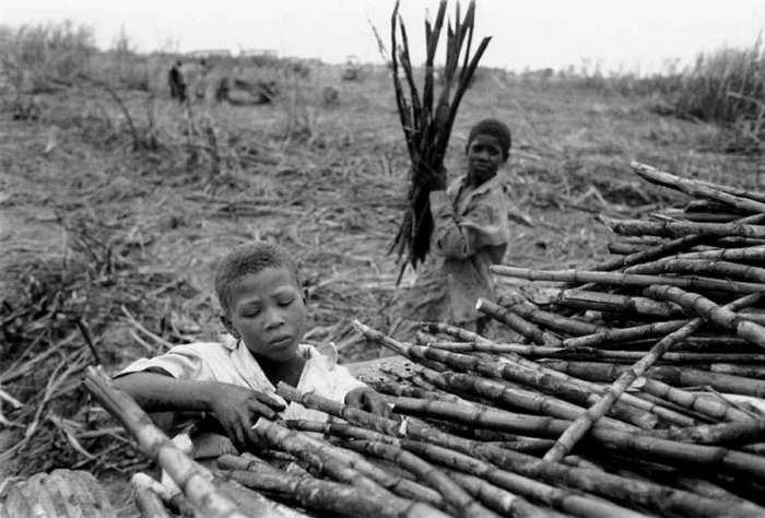 República Dominicana - La Zafra - Batey 3