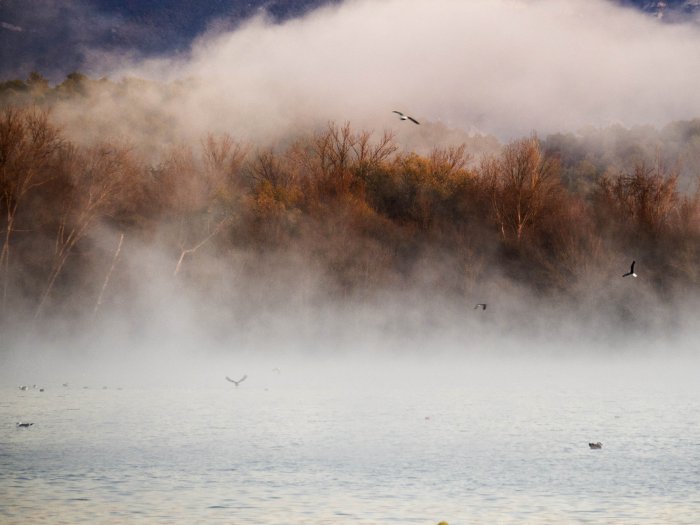 Lago de Banyoles - Girona - España