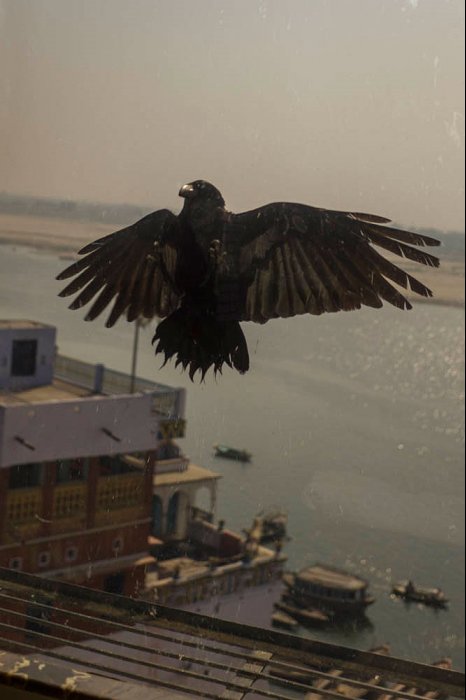 INDIA - VARANASI - Uttar Pradesh - Ganges River