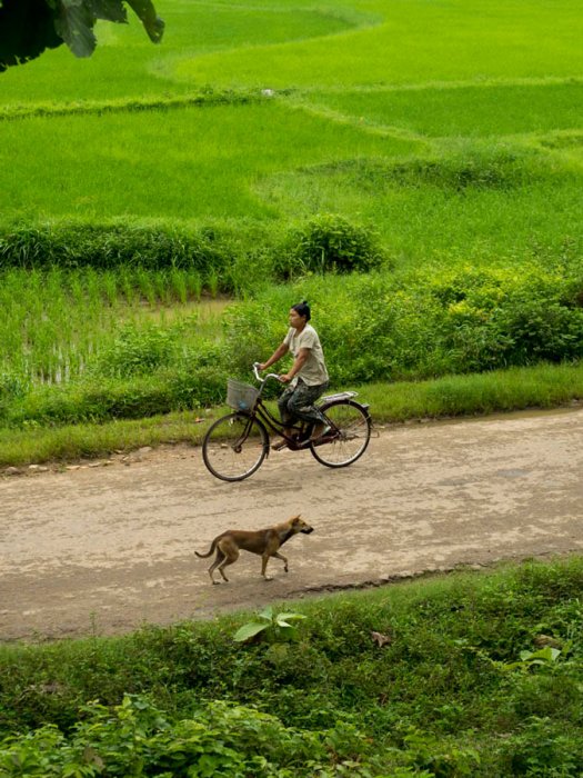 Road to Mandalay - Crucero por el Irawadi (Myanmar)