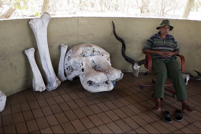 Chobe National Park - Savute Elephant Camp - Botswana