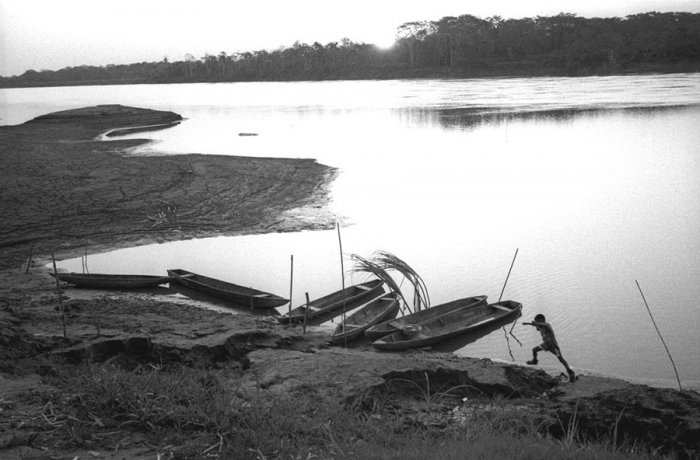 Amazonia Peruana