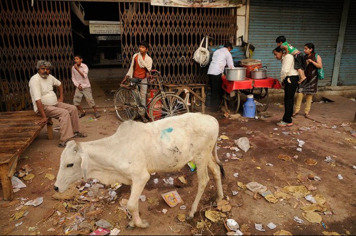 INDIA - MATHURA - Uttar Pradesh