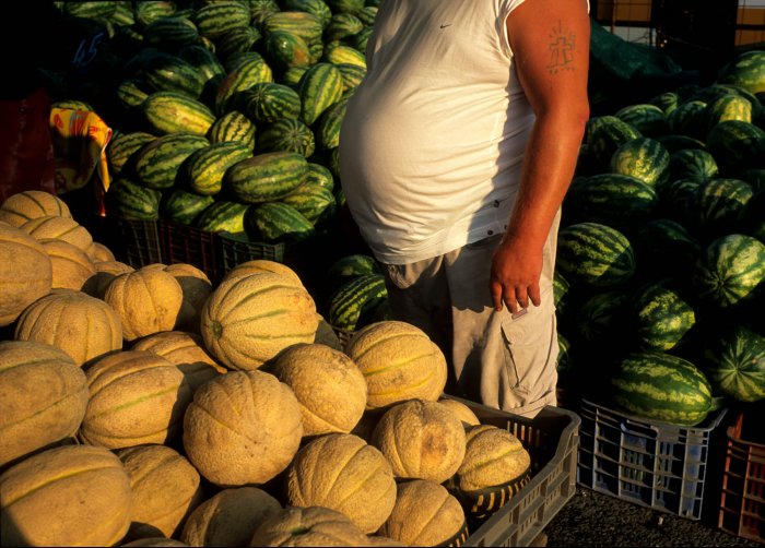 Melones y sandías