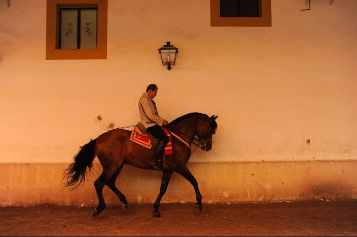 España - Jerez de la Frontera - Cádiz - Andalucía