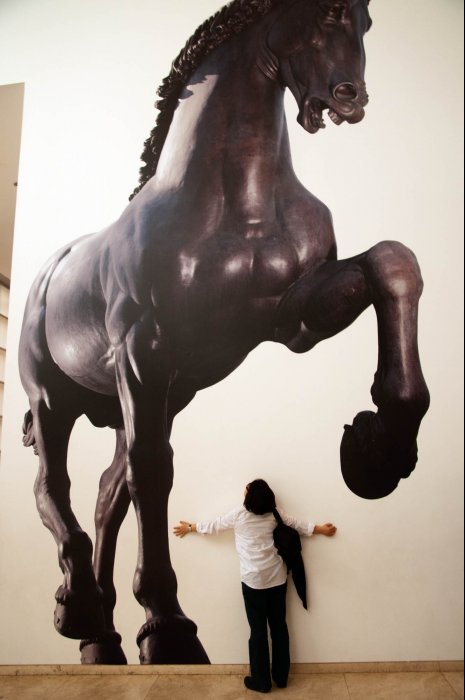 Under the horses' feet.